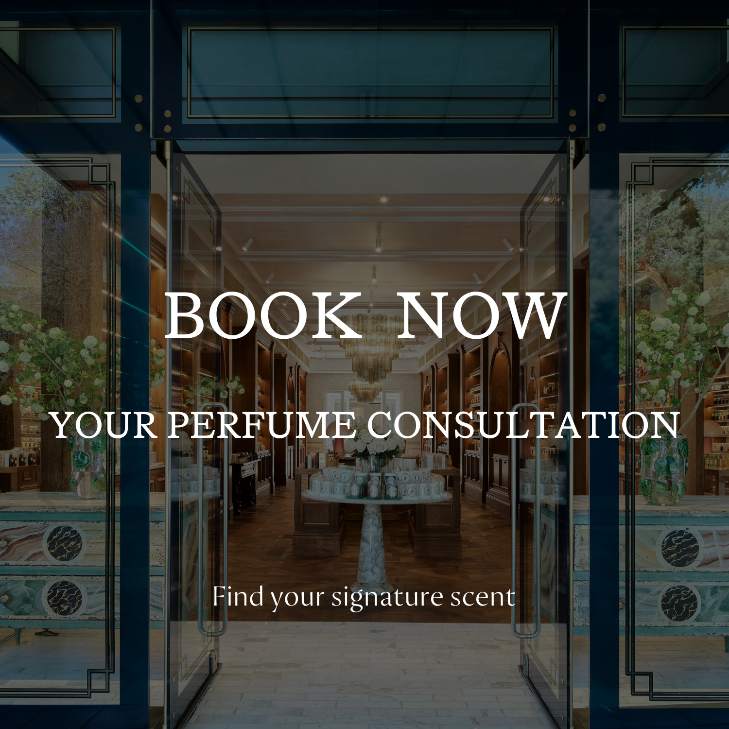 Private Consultation Libertine Paddington