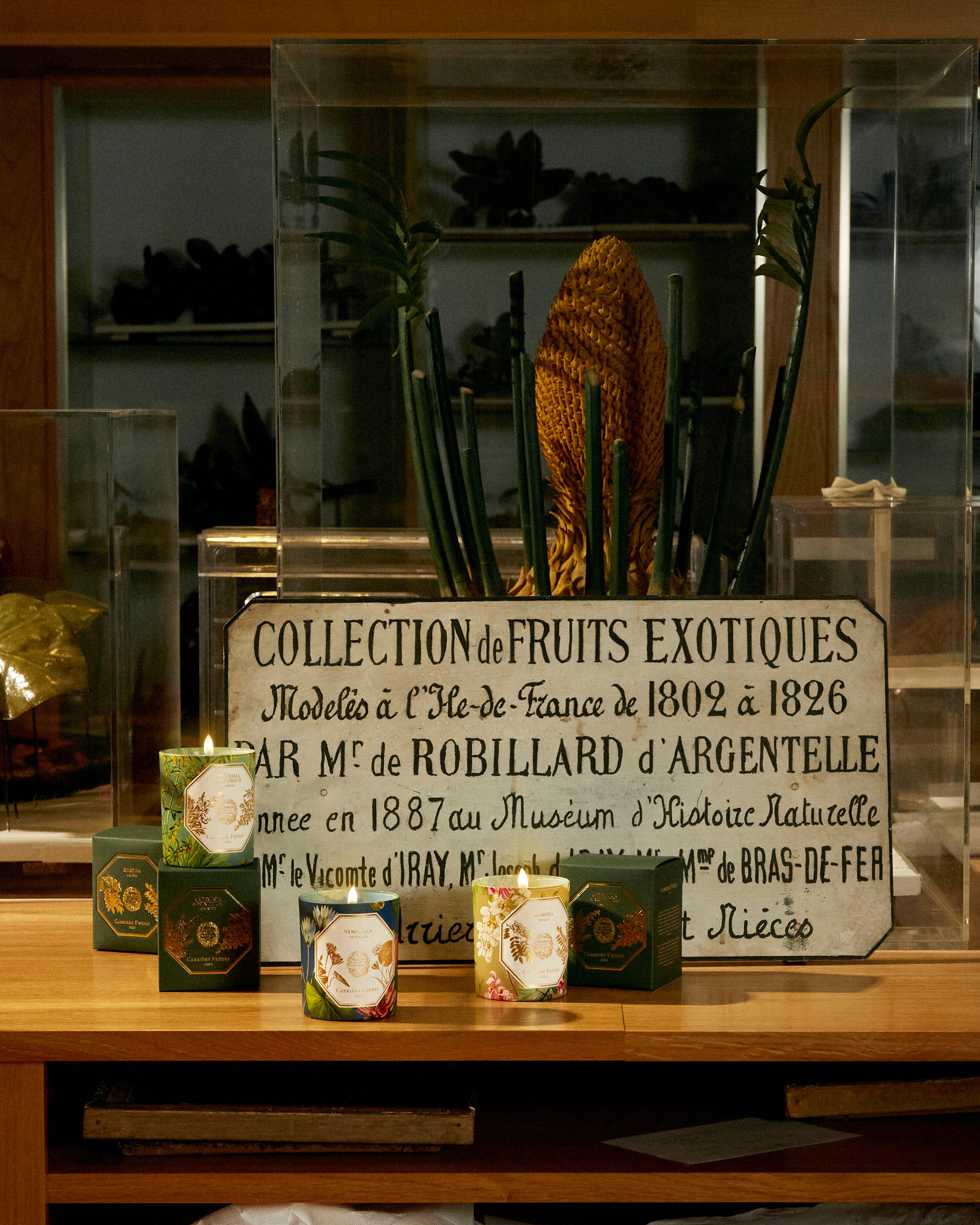 Natural History Museum Absinthe Candle