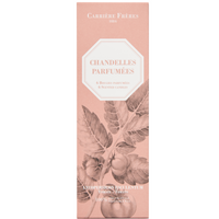 Tomato Scented Taper Candles