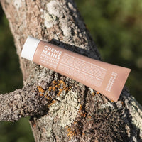 Cedar Forest Hand Cream