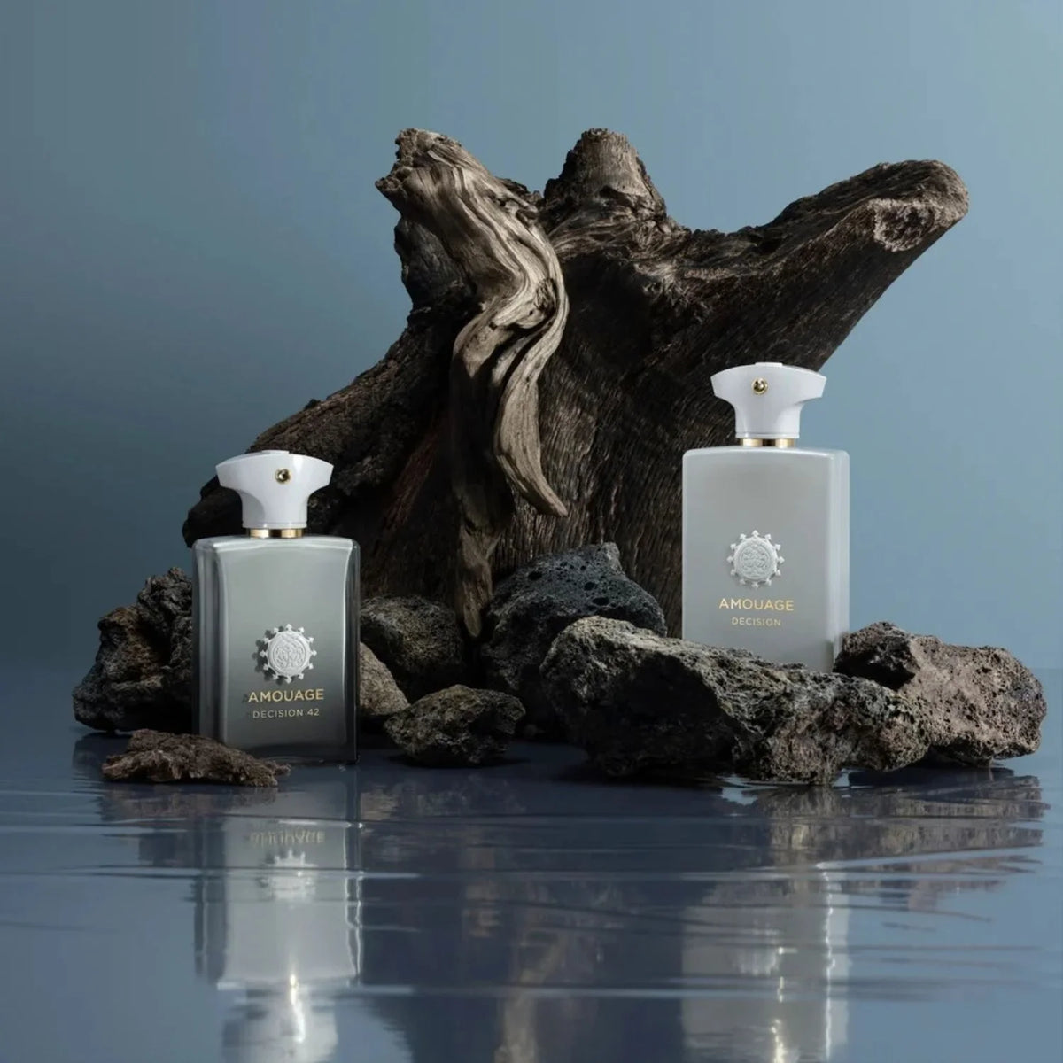 Exceptional Extraits Decision 42