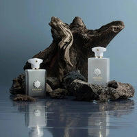 Exceptional Extraits Decision 42