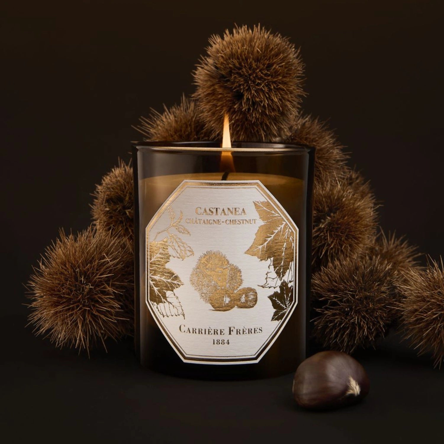 Chestnut Candle