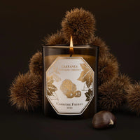 Chestnut Candle