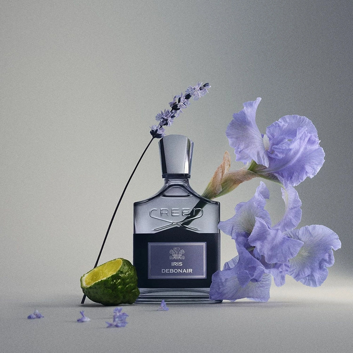 Iris Debonair
