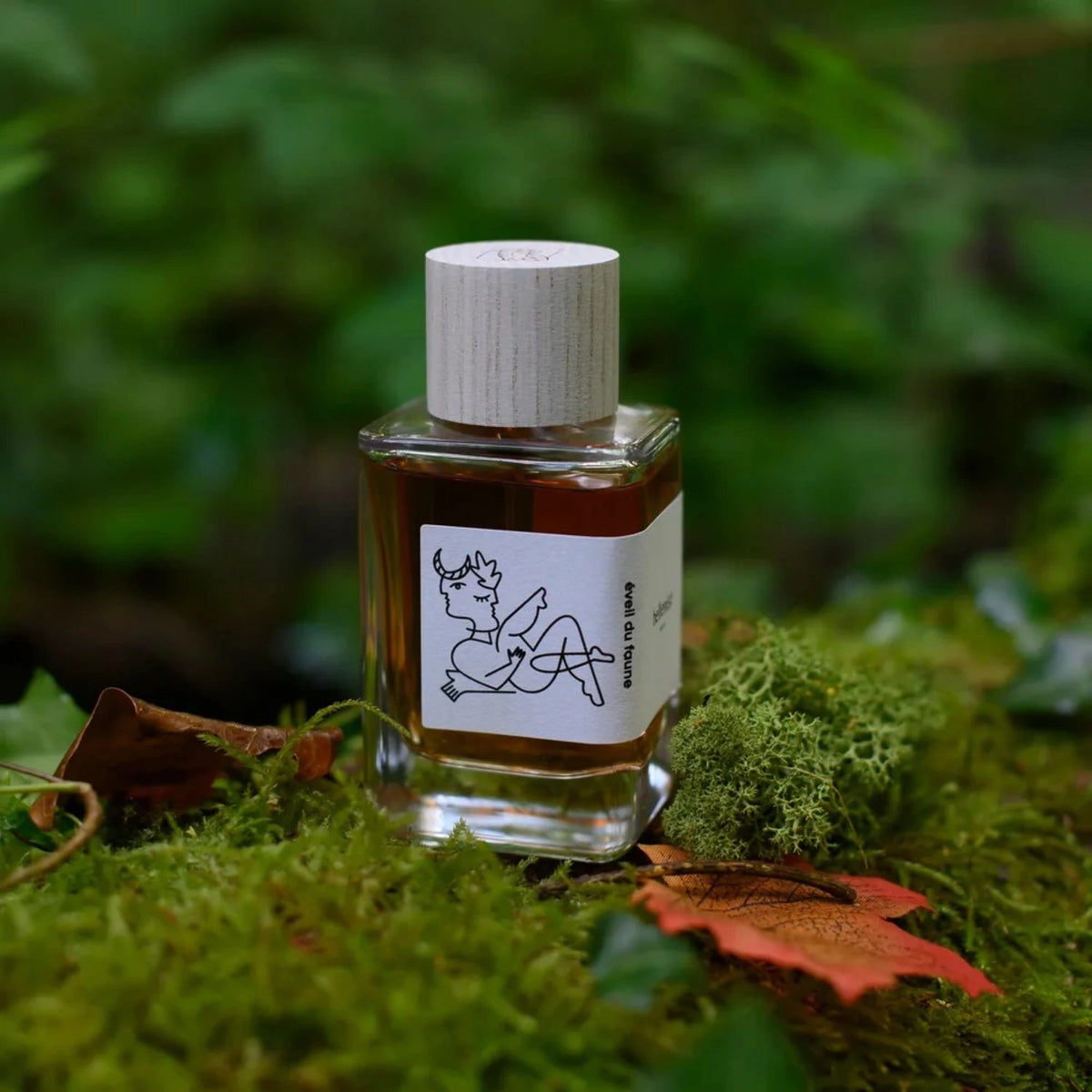 Eveil Du Faune