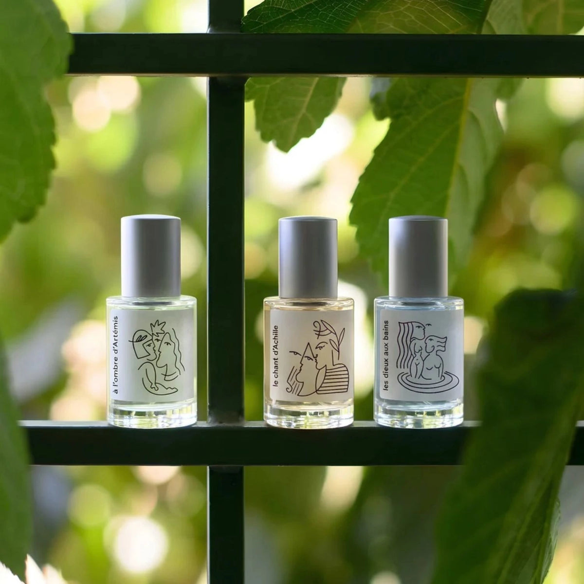Les Lumieres Coffret