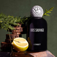 Bois Sauvage