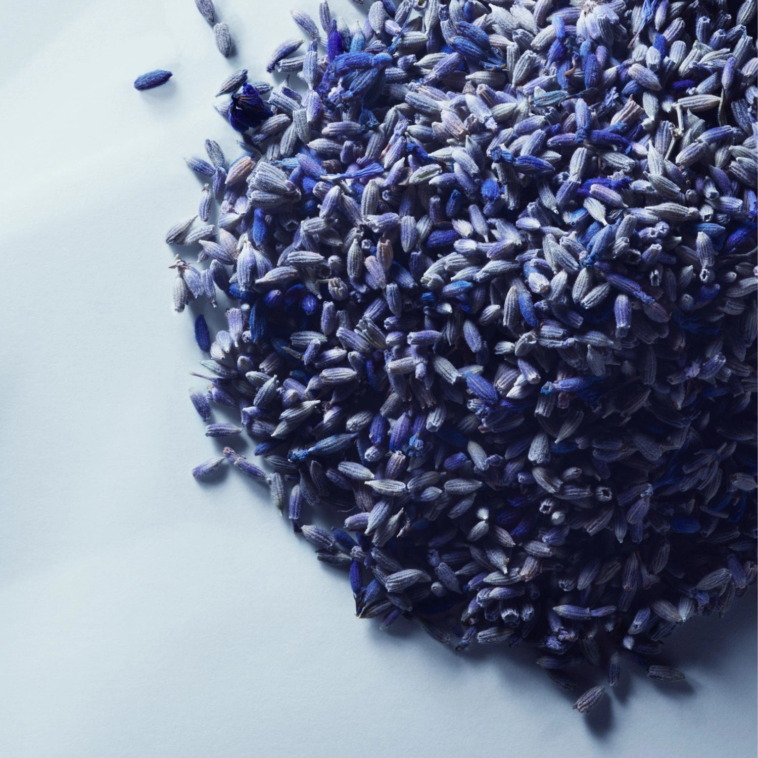Metal Lavender