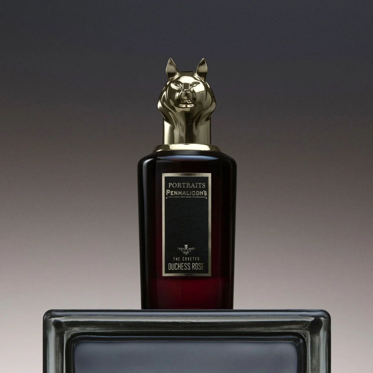 The Coveted Duchess Rose Intense