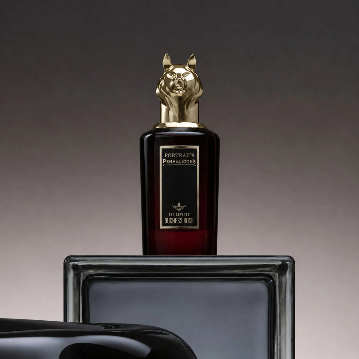 The Coveted Duchess Rose Intense