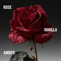 The Coveted Duchess Rose Intense