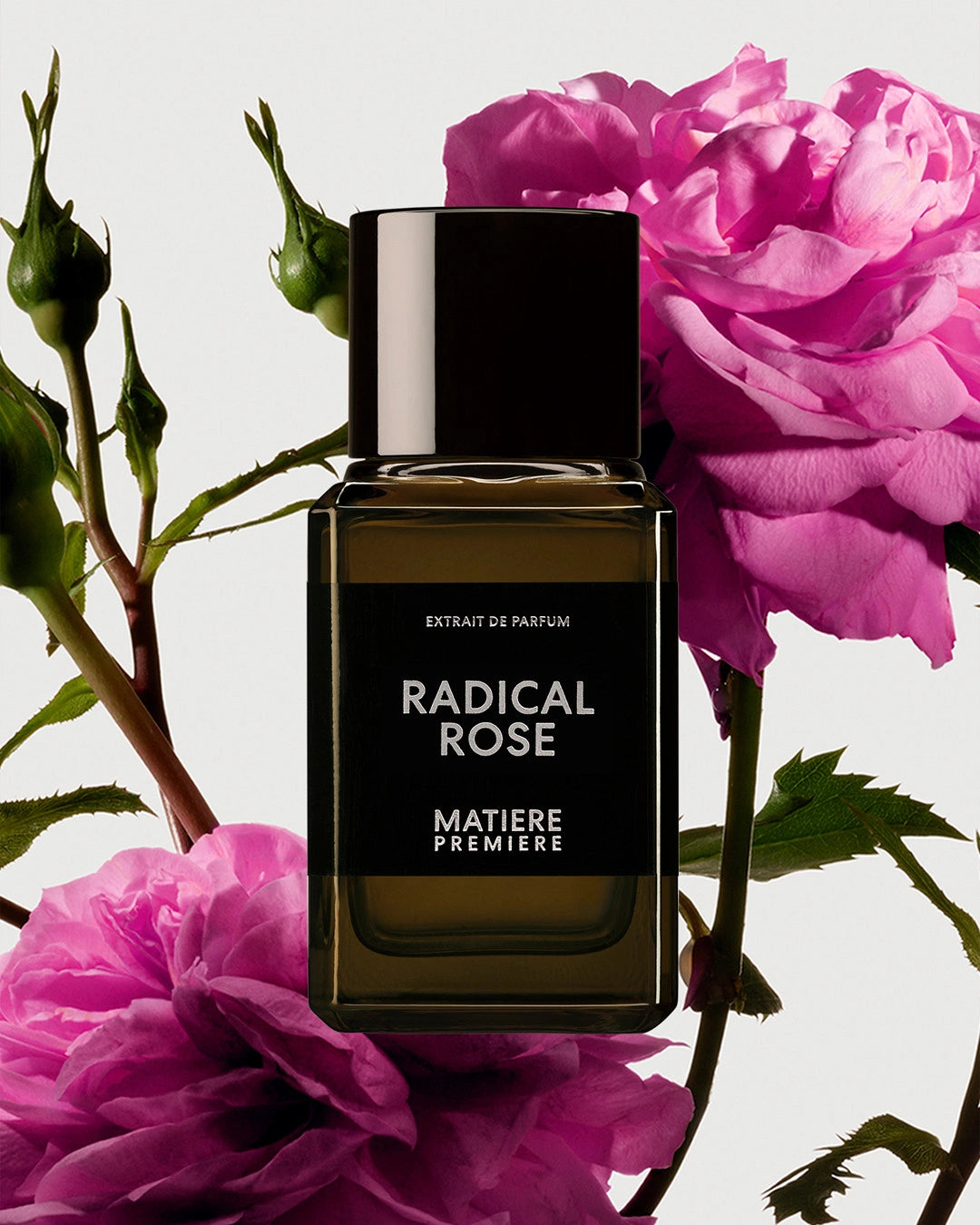 libertine-parfumerie-radical-rose-extrait-matiere-premiere.webp__PID:fb4ba51a-9bb9-4e2b-b22f-41656cb69f91