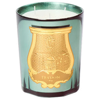Fir Intermezzo Candle