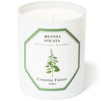 Spearmint Candle