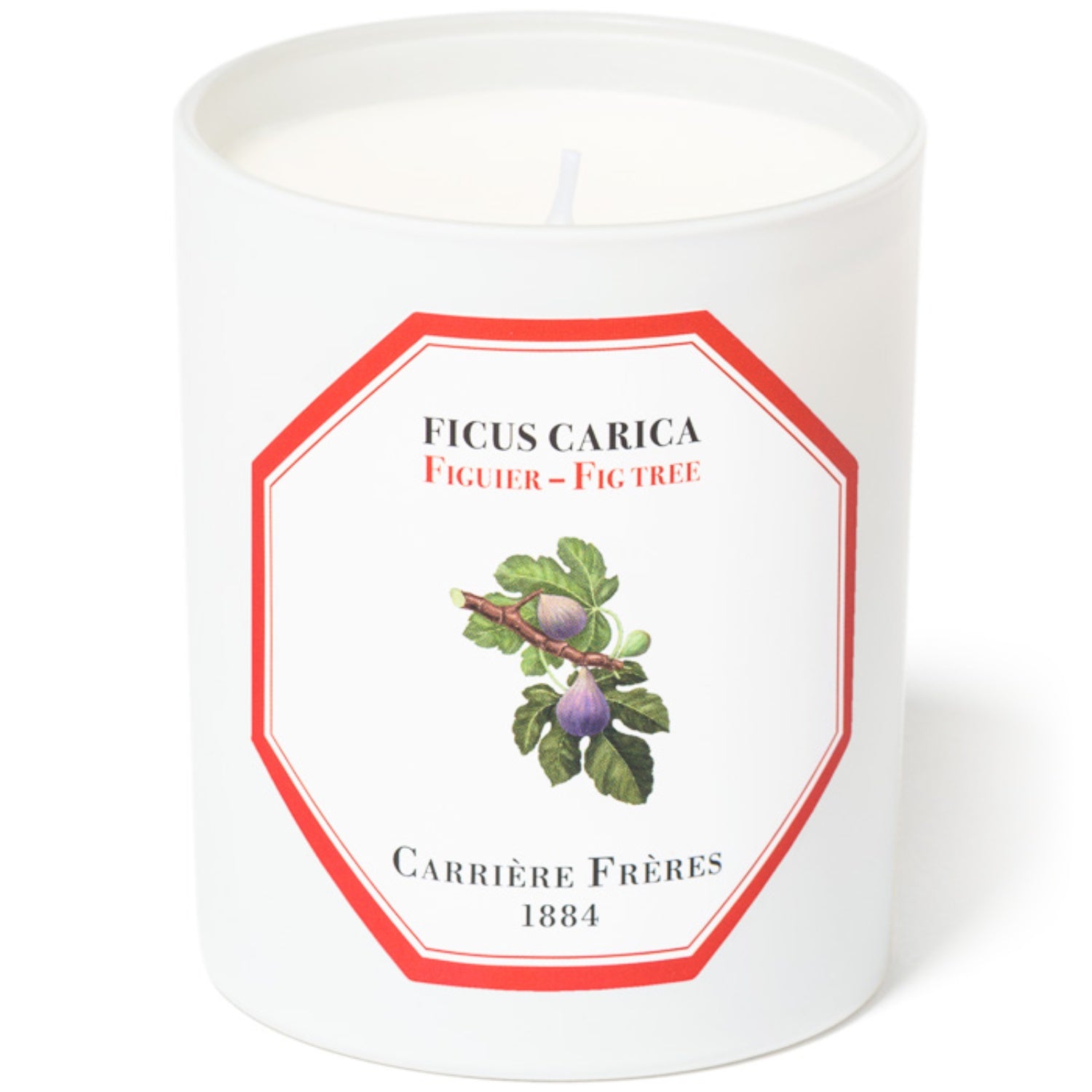 Fig Tree Candle