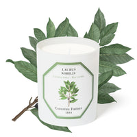 Bay Laurel Candle