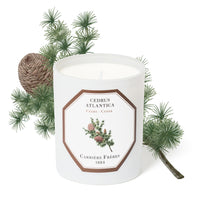 Cedar Scented Candle