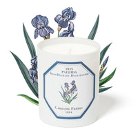 Dalmatian Iris Candle