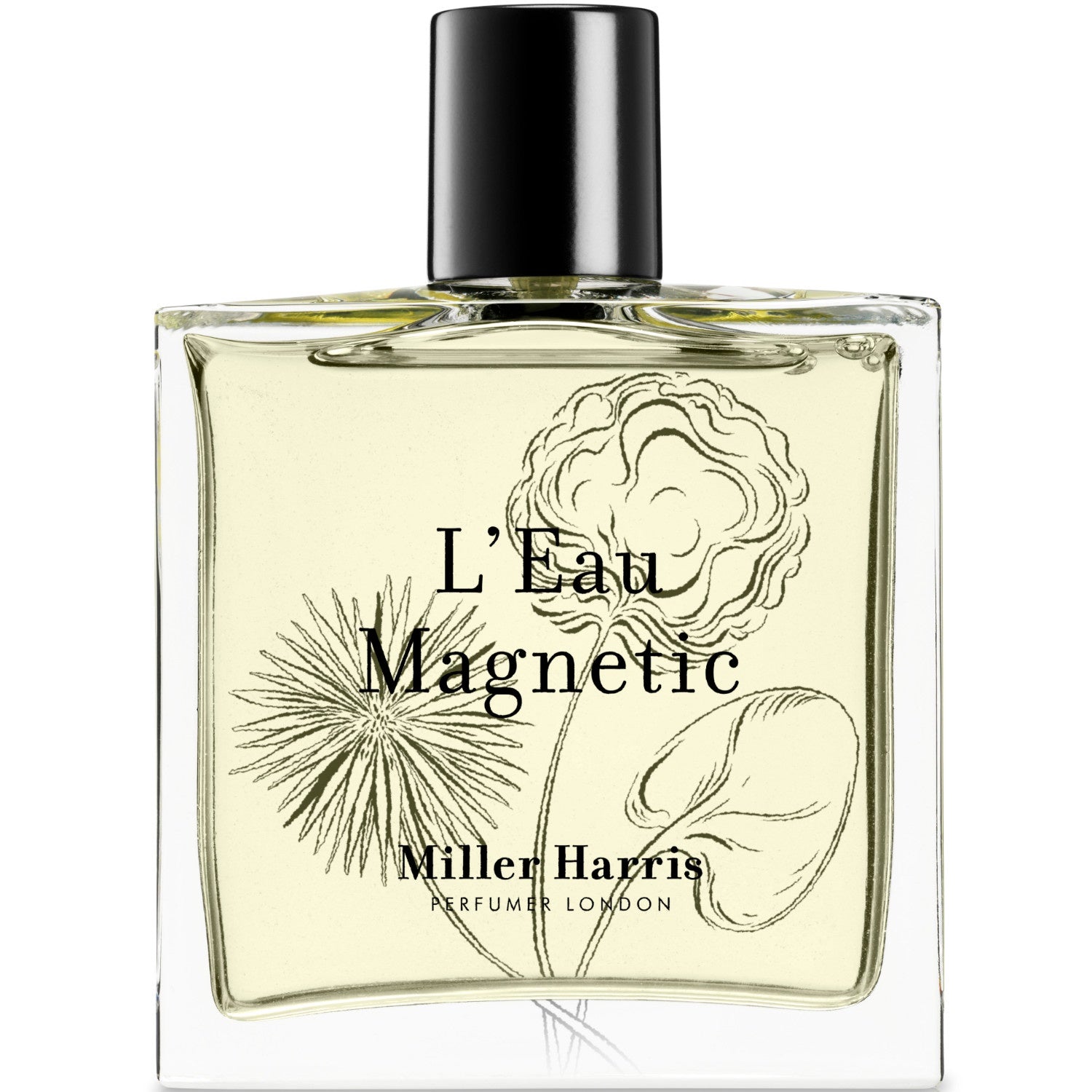 香水(ユニセックス) Miller Harris L'Eau Magnetic 50ml L'Eau Magnetic – Libertine Parfumerie