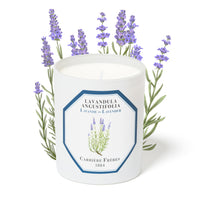 Lavender Candle