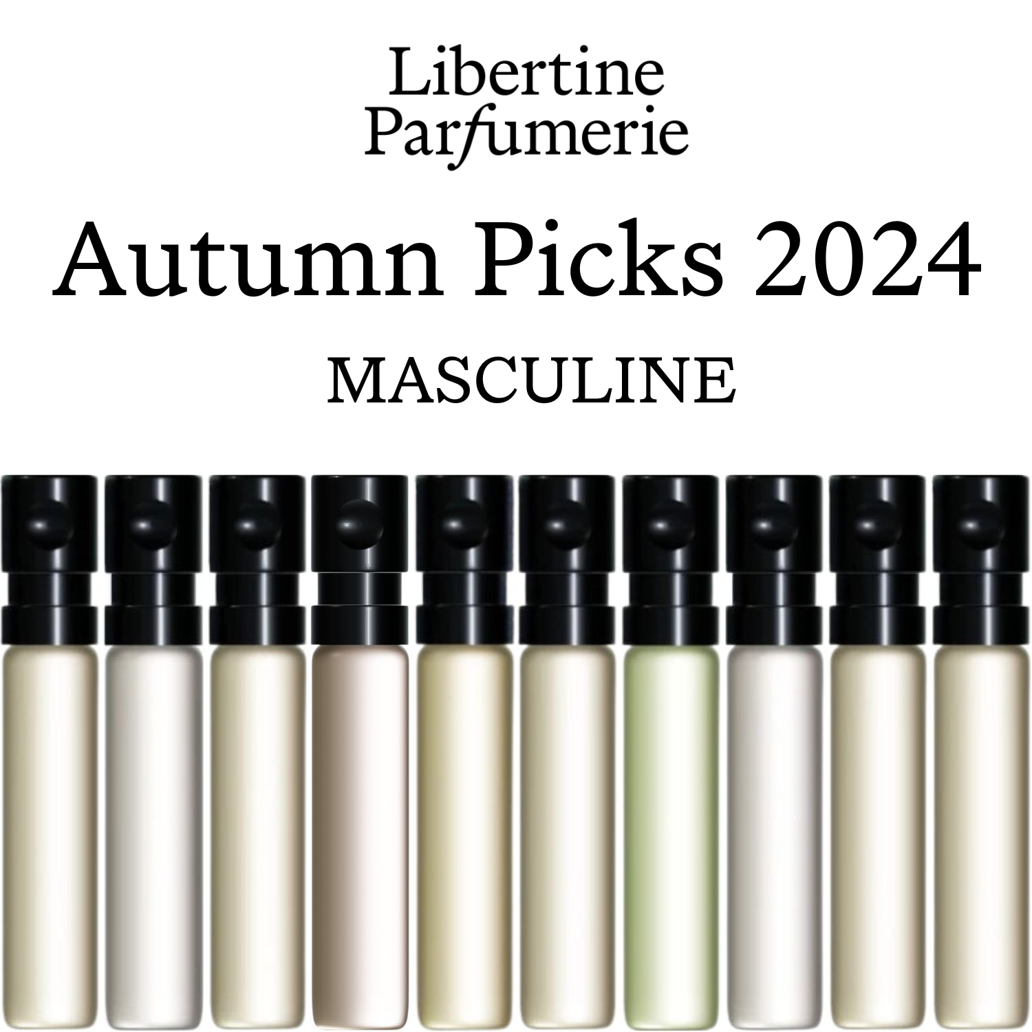 Top 10 Autumn Picks 2024 - Masculine