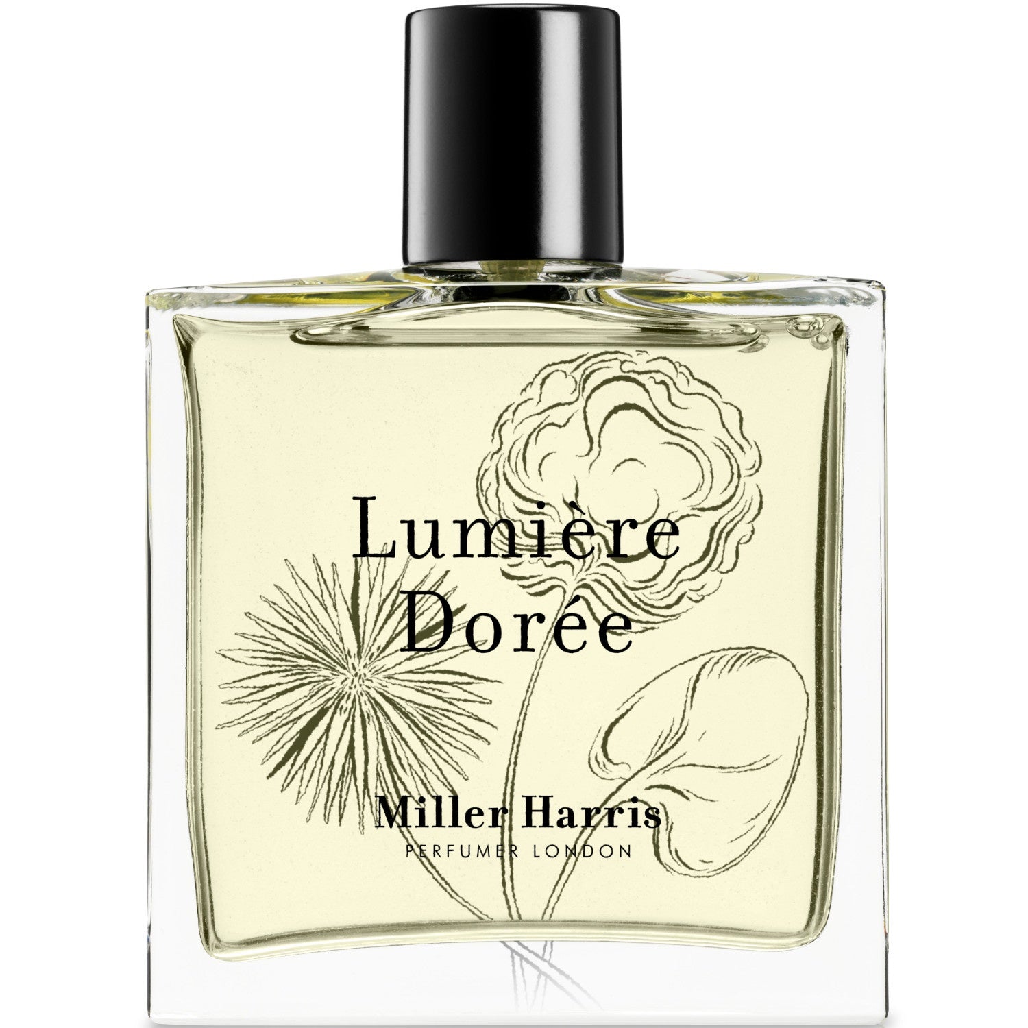 Lumiere Doree – Libertine Parfumerie