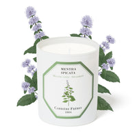 Spearmint Candle