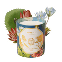 Natural History Museum Waterlily Candle