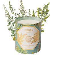 Natural History Museum Absinthe Candle