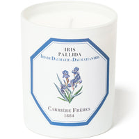 Dalmatian Iris Candle